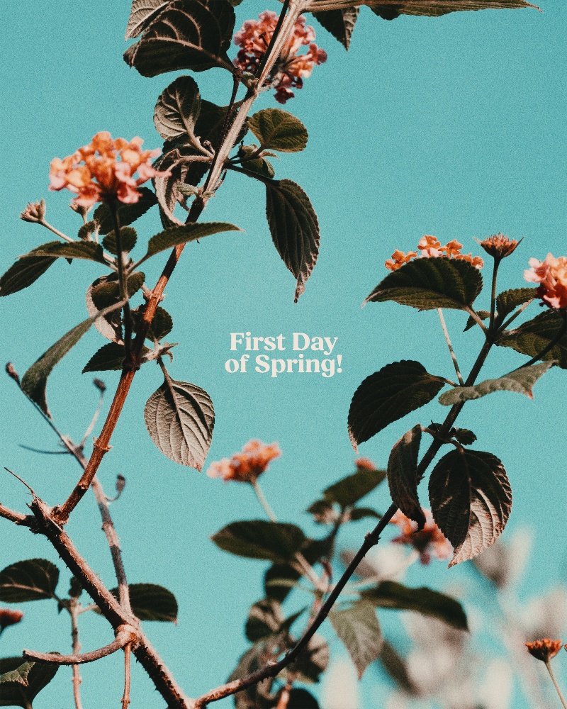 Tuesday-2-1